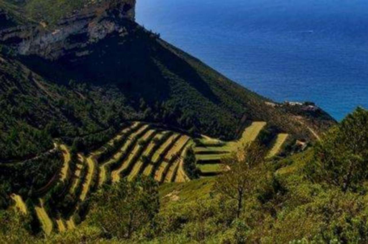 Calypso Lägenhet Cassis Exteriör bild